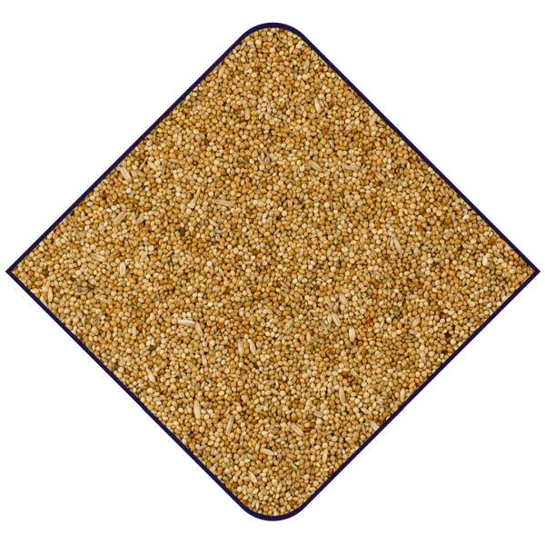 EXPERT Basis Grasparkieten