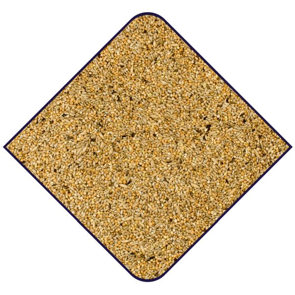 EXPERT Premium Grasparkieten