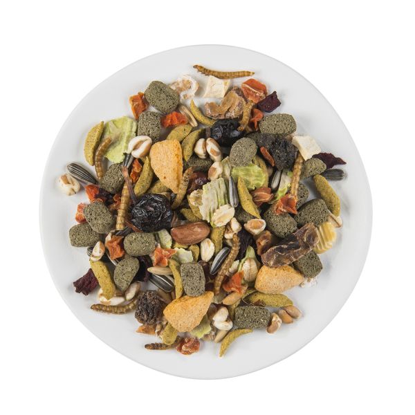 PUUR Hamster & Friends