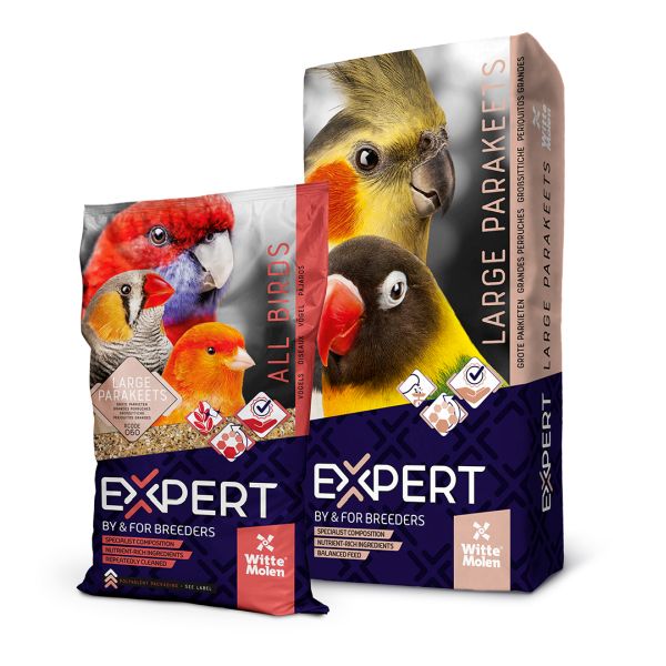 EXPERT Grote Parkieten