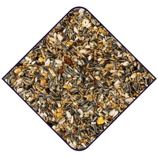 EXPERT Basis Papegaaien