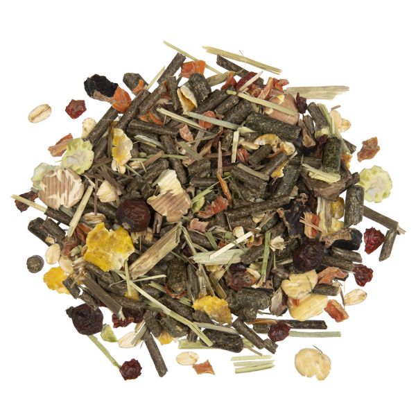 Country Chinchilla & Degoe