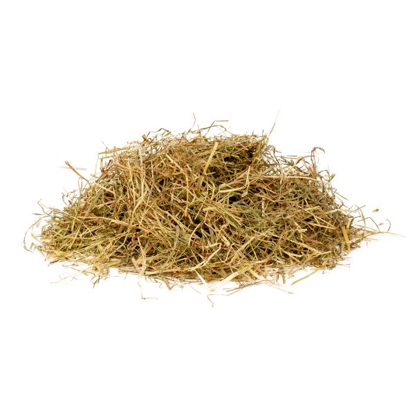 Top Fresh Hooi