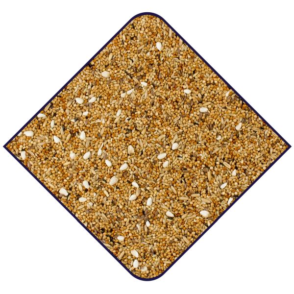 EXPERT Grasparkieten met kardizaad