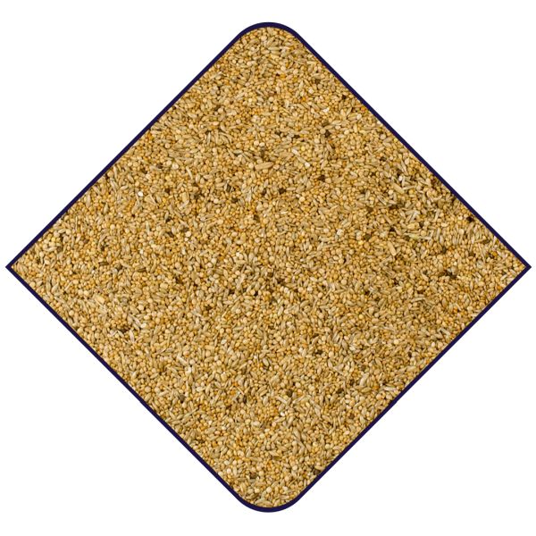 EXPERT Gouldamadines