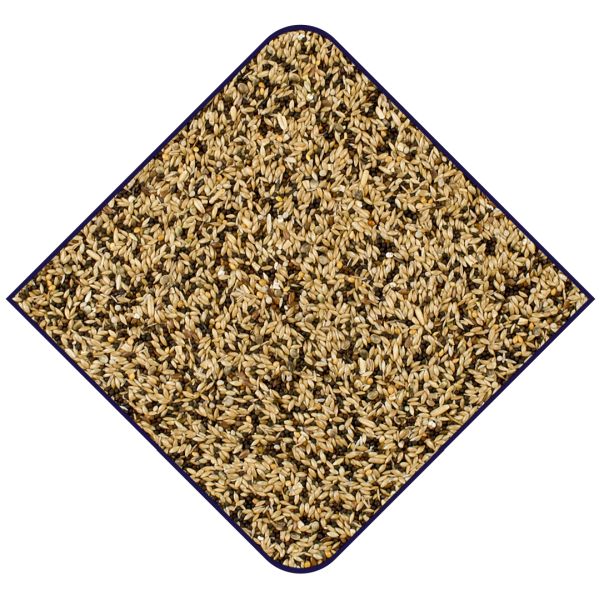 EXPERT Premium Kanaries