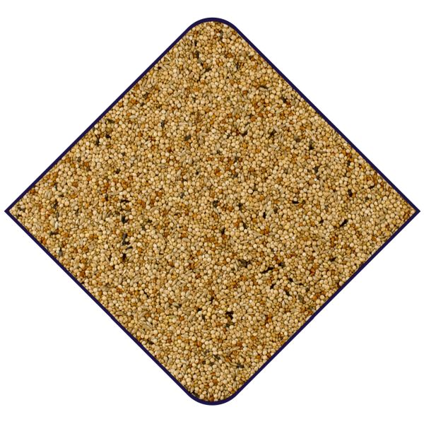 EXPERT Basis Tropische Vogels