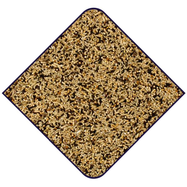 EXPERT Basis Kanaries