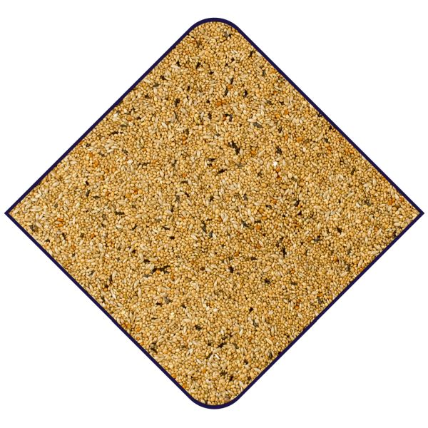 EXPERT Australische Prachtvinken