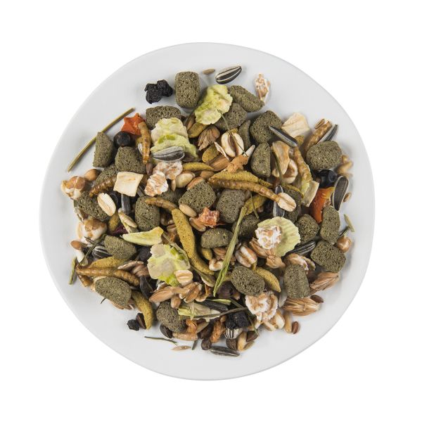 PUUR Dwerghamster & Friends