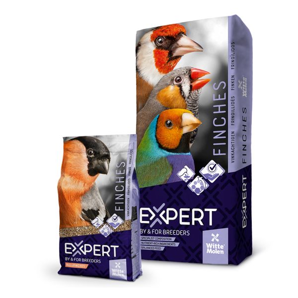 EXPERT Goudvinken