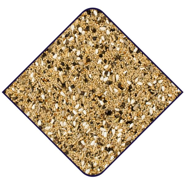 EXPERT Premium Grote Parkieten