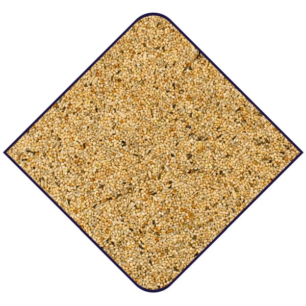 EXPERT Grasparkieten