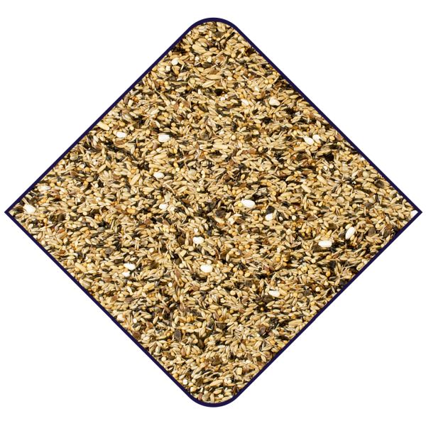 EXPERT Wildzang zonder raapzaad