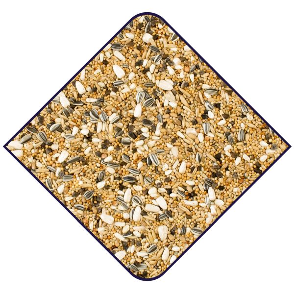 EXPERT Grote Parkieten