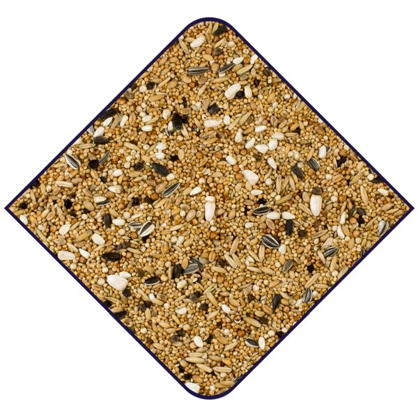 EXPERT Basis Grote Parkieten