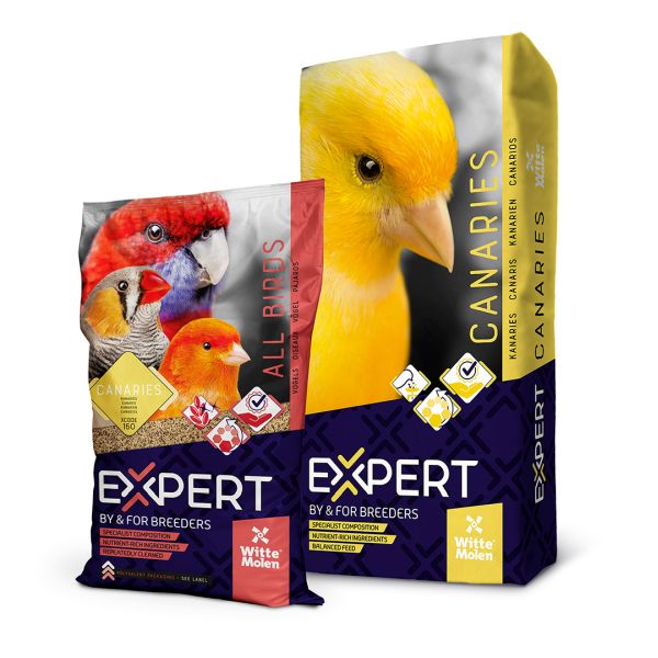 EXPERT Kanaries