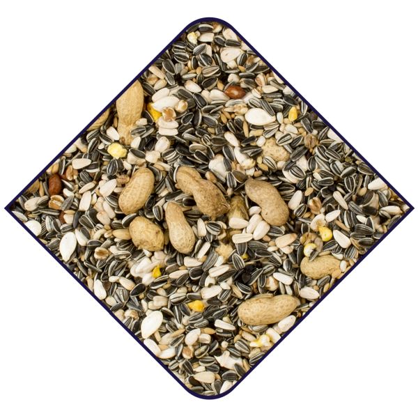 EXPERT Papegaaien Beierse Mengeling