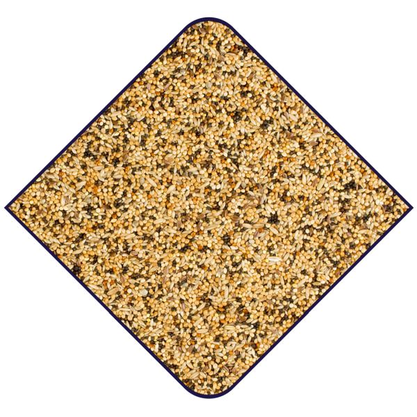 EXPERT Volièrevogels