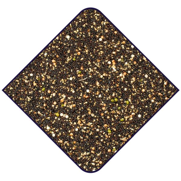 EXPERT Kiemzaden Kanaries