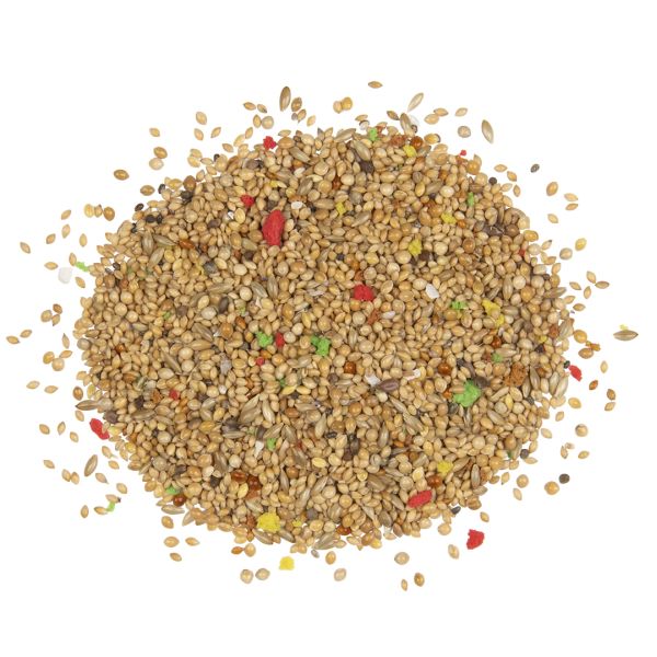 Country Vinkachtigen