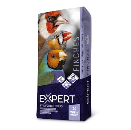 EXPERT Wildzang